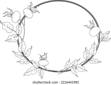 vector line art botany wild rose leaves and berries black and white
