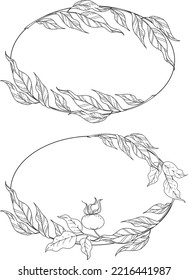 vector line art botany wild rose leaves and berries black and white
