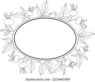 arte de línea vectorial botánica hojas de rosa silvestres y bayas negro y blanco