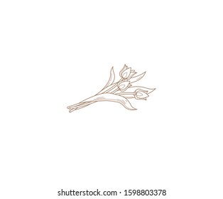 Vector line art bouquet of blooming spring flowers. Tulip flower line art. Symbol for Women's Day. Isolated tulips on white background. Design linear artwork element.