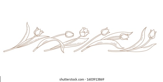 Vector line art bouquet, border of blooming spring flowers. Tulip flower line art. Symbol for Women's Day, Mothers Day. Isolated tulips. Design linear artwork element for coloring book, tattoo.