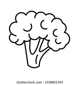Icono de brócoli de la línea de vectores. Silhouette de verduras aisladas al estilo de las caricaturas. Pictograma plano para colorear.
