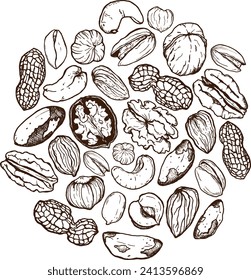 Vector line art circle composition of mix nuts. Hand painted card of pistachio, walnut, hazelnut and almond on white background. Tasty food illustration for design, print, fabric or background. Poster