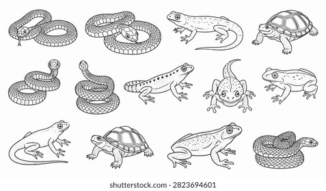 Vector line art collection of reptiles and amphibians featuring coiled snakes, lizards, turtles, and frogs in a minimalist black and white stippled style on a white background.