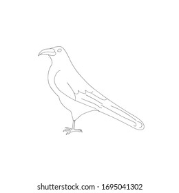 Vector line art crow isolated white  black   white transparent version