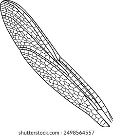 Vector Line Art of Dragonfly Wing