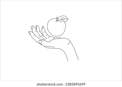 Vector Line art Drawing or Line Drawing