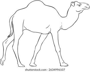 Desenho de arte vetorial de um camelo andando em vista lateral