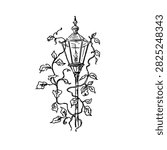 Vector line art drawing of a romantic vintage street lamp, garden lantern or light post overgrown with ivy, climbing plants or leaves. Aesthetic ink sketch retro element