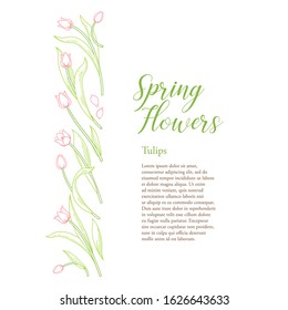 Vector line art floral border, frame of blooming spring flowers. Tulip flower backdrop. Symbol for Women's Day, Mothers Day. Tulips pattern. Design linear artwork element for card. Springtime