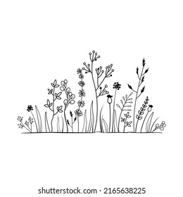 Arte de línea de vectores. Temas florales y naturales. Esbozo negro de hierba. Patrón floral monocromo. Tema de la naturaleza y la botánica. Diseño de ilustración de vector