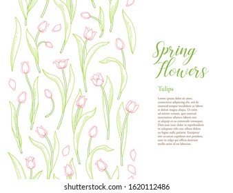 Vector line art floral seamless border of blooming spring flowers. Tulip flower backdrop. Symbol for Women's Day, Mothers Day. Tulips pattern.Design linear artwork element for coloring book, wallpaper