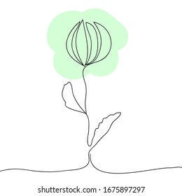 Vector line art flower. Minimalism, elegant, isolated white background