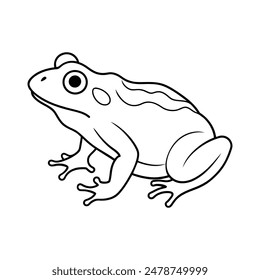  vector line art frog on a white background