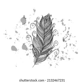 Vector line art of fur with ink splash.