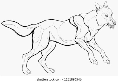 Vector line art grinning gray wolf, laid his ears back and ready for attack. Angry roaring predator of the Canidae family stands on its hind legs. Grayscale emblem for the hunting club.