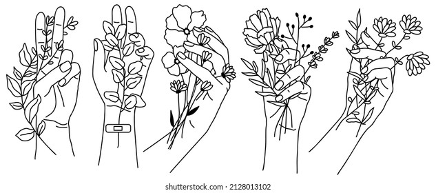 Vector line art hand with bouquet of flowers