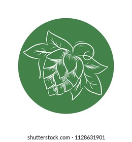 Vector line art hand drawn hop cone icon for poster, banner, icon, logo, invitation. For beer producer, thanksgiving day or Oktoberfest. party, agriculture promo materials. 