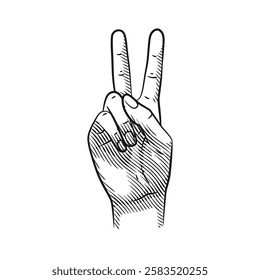 Vector line art hand gestures showing numbers 2. Ideal for educational, counting, or creative projects. Clean design, isolated on white.