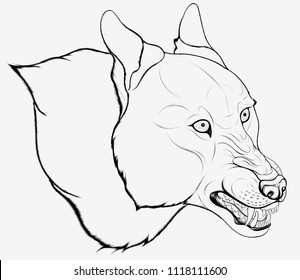 Vector line art head of a grinning gray wolf, laid his ears back. Angry roaring predator of the Canidae family ready for attack. Grayscale emblem for the hunting club.