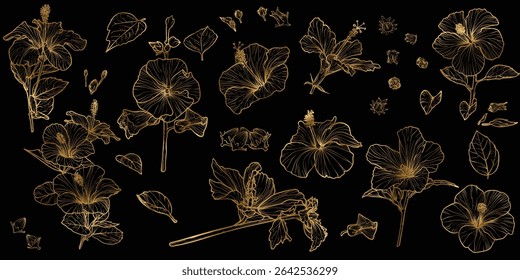 Vector line art of hibiscus with a golden touch. Hand drawn high quality and detailed hibiscus. Elegant summer flowers for print and online. Luxurious flowers for card, invitations, wallpapers