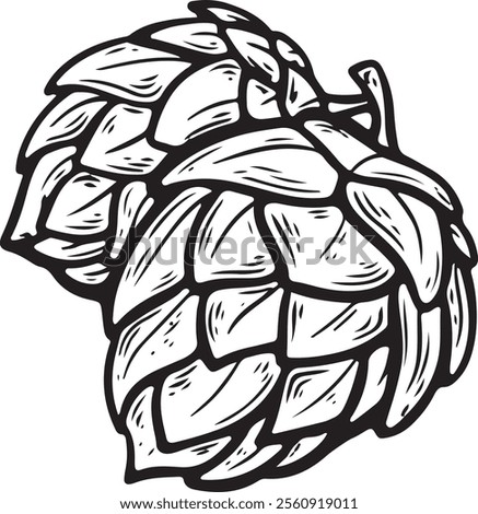 Vector line art of a hop. clean and modern design. Hand drawn isolated on white background
