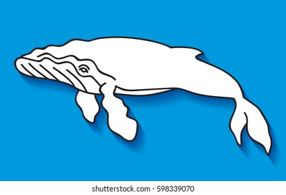 Vector line art humpback whale zoo icon big underwater mammal zoo flat line art icon with shadow  on blue background