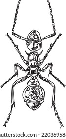 Vector line art illustration of ants