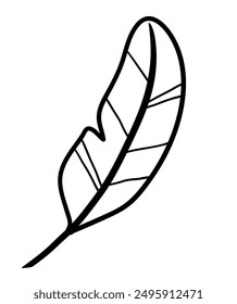 Vector line art illustration of bird feather symbol