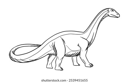 Vector line art illustration of dinosaur Brontosaurus. Black and white outline.