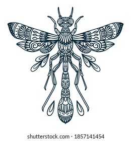 vector line art illustration of dragonfly beetle