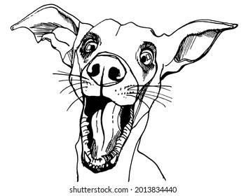 ilustración de la línea vectorial de la cabeza de un perro alegre en un diseño realista aislado en un fondo blanco. útil para la publicidad de productos para mascotas, tienda de mascotas, comida para perros, agencias para caminar perros, impresiones
