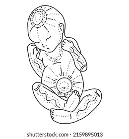 Vector  line art illustration of a newborn. Linear sleeping baby for creating greeting cards, postcard, invitations, banners, arrangement illustrations, books, covers.