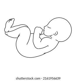 Vector  line art illustration of a newborn. Linear sleeping baby for creating greeting cards, postcard, invitations, banners, arrangement illustrations, books, covers.