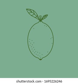 Vektorillustration Linie Kunstillustration für reife, saftige VollZitrone mit Stammblättern auf türkisblauem Hintergrund. Zitrusfrüchte Vitamin C Immunität zur Förderung des Detox-Food-Konzepts. Design-Element für Muster