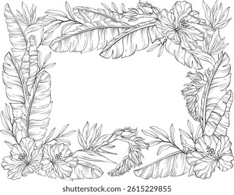 A vector line art illustration of a tropical floral frame featuring hibiscus flowers, bird of paradise blossoms, and lush banana leaves on a white background