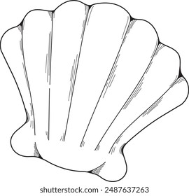 A vector line art image of seashell