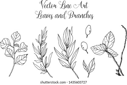 Vector Line Art Leaves & Branches