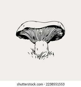 Vector line art magical mushrooms. black line vector art.
