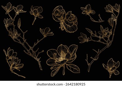 Vector line art of magnolia with a golden touch. Hand drawn high quality and detailed magnolia. Elegant spring flowers for print and online. Luxurious flowers for card, invitations, wallpapers