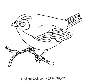 Pintura de línea de vectores monocromo lindo songbird sentado en una rama. Ilustración de contorno negro aislada en fondo blanco. Ilustración de material para libro de colorear, diseño, impresión, camiseta, decoración de casa. 