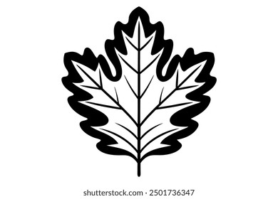 Vector Line Art of Oak Leaves on White Background Detailed Illustration and Clipart Design, Detailed vector line art of oak leaves on white background, perfect for nature themed de