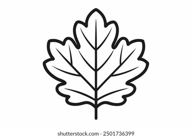 Vector Line Art of Oak Leaves on White Background Detailed Illustration and Clipart Design, Detailed vector line art of oak leaves on white background, perfect for nature themed de