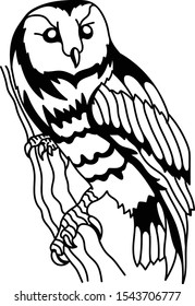 Vector line art owl tattoo