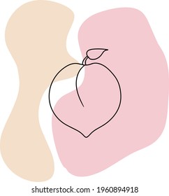 Vector line art peach on an abstract background. Original image of peach for print.