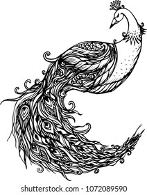 the vector line art of peacock design for card