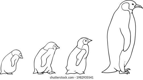 Pingüinos de arte de línea de vector caminando