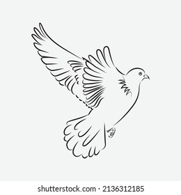 Arte de línea de vector de un ave pichón