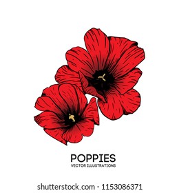 Vector line art with poppies. Floral design set for greeting card, package cosmetic, wedding invitation, florist shop, coloring book, tattoo.