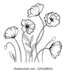 Vector line art with poppies. Monochrome floral wallpaper background. Floral ornament can use for web, printing and coloring.